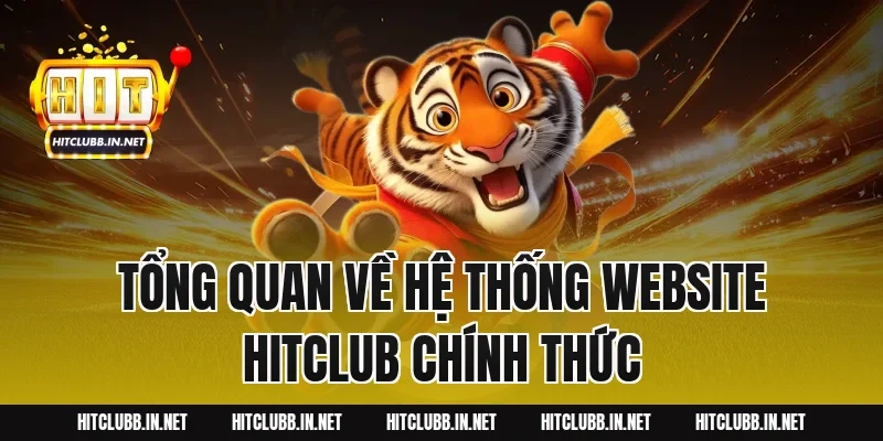 Tổng quan về hệ thống website HITCLUB chính thức